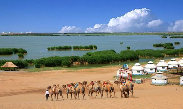 7 月旅游推荐：宁夏塞上江南，沙坡头、沙湖、西夏影视城、西夏王陵等你来