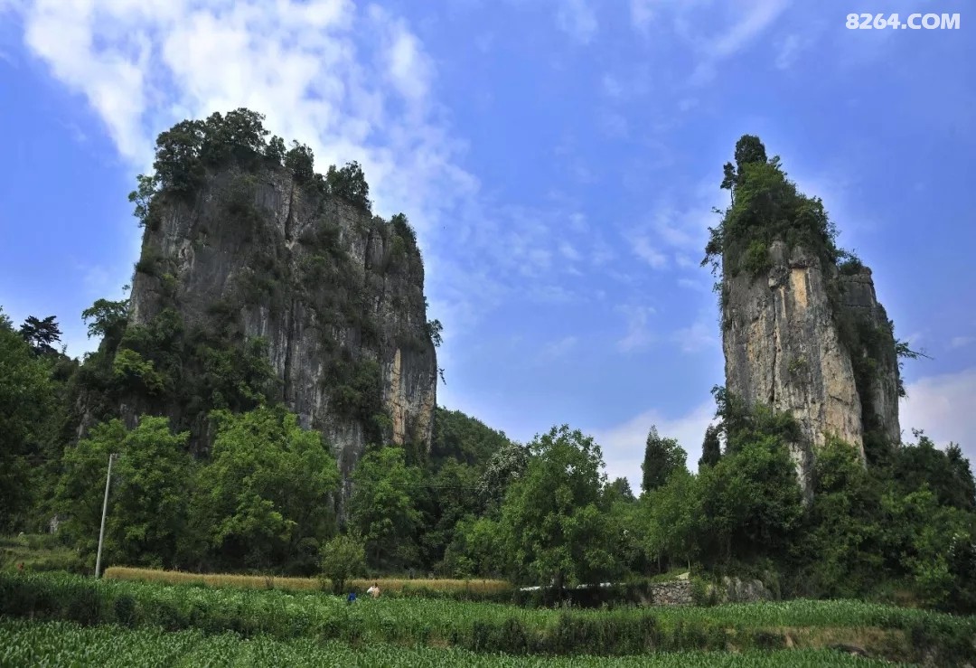 金沙县：风景独特的省级森林公园，集水域、溶洞、跌水、森林、云海、古迹于一体