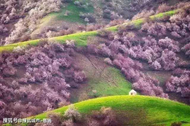 骊山旅游攻略：详细地址、交通方式及门票价格全知道