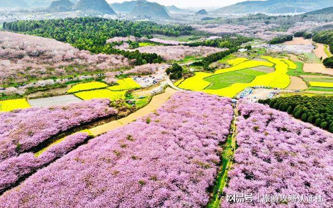 骊山旅游攻略：详细地址、交通方式及门票价格全知道