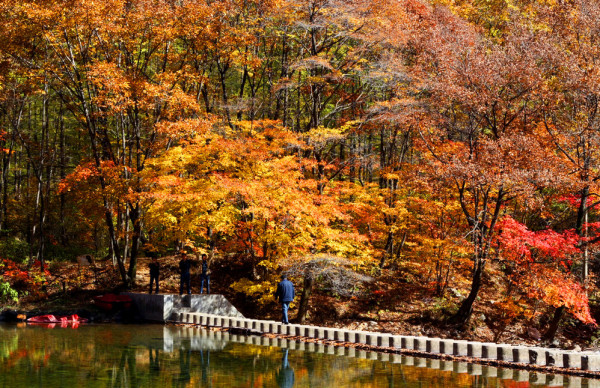 鞍山花好月圆旅行社丹东蒲石河森林公园，国家 AAAA 级景区，跟团游火热报名中