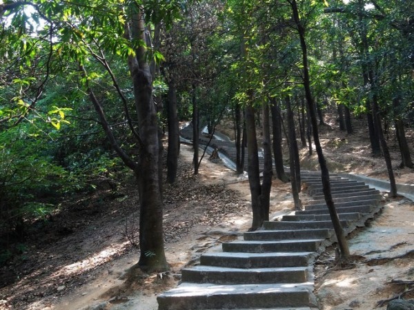 深圳周末一日游，适合不同人群的爬山景点推荐