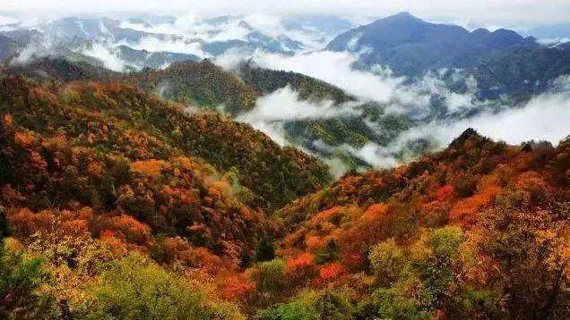 西安周边烧烤圣地推荐：西寺沟，林荫蔽日溪水潺潺，周末烧烤好去处